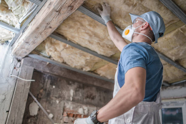 Best Insulation for Specific Applications in Binghamton, NY